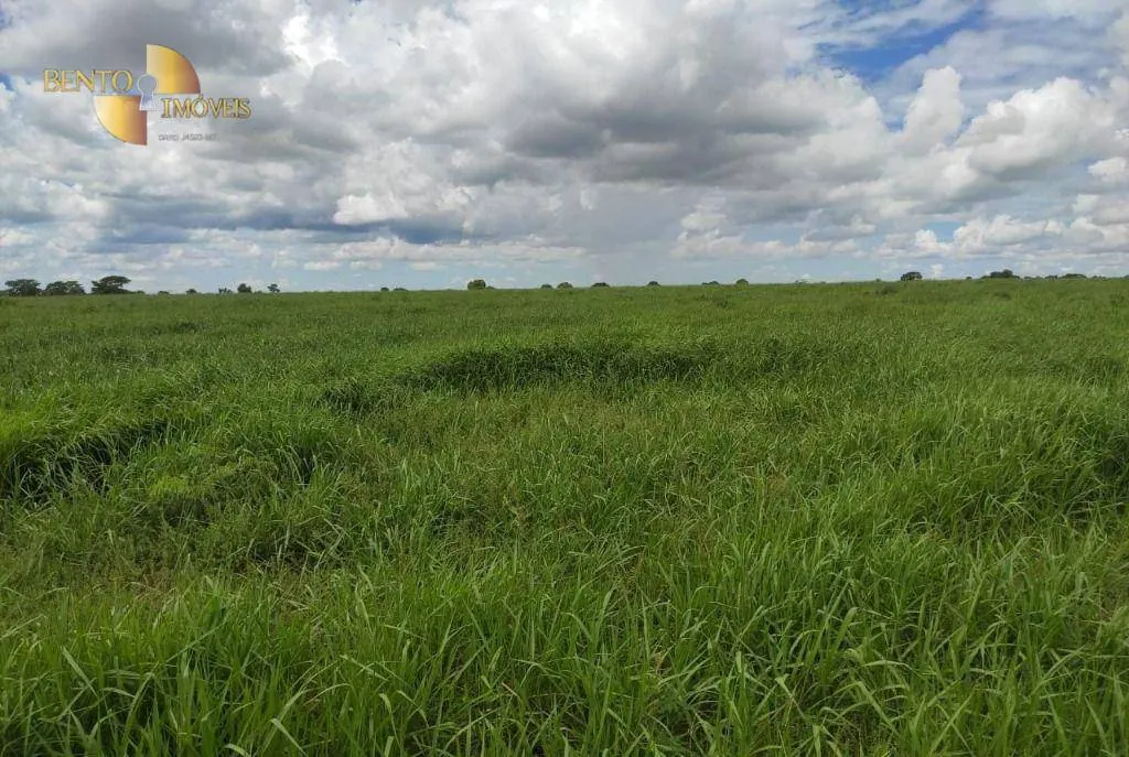 Farm for sale of 4,028 acres in Poconé, MT, Brazil