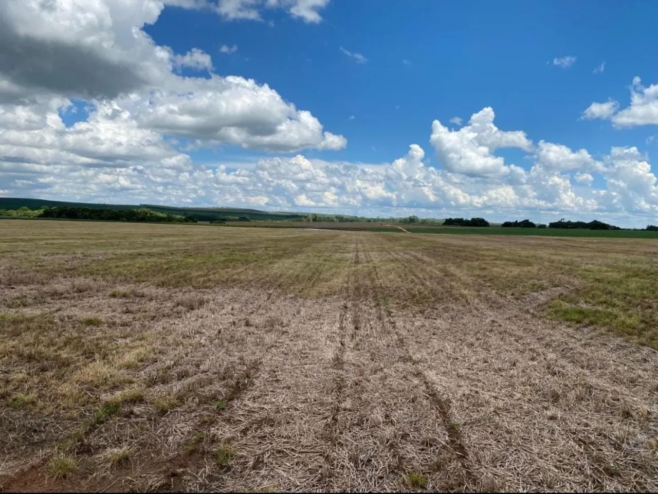 Fazenda à venda de 581 ha em Avaré, SP, Brasil