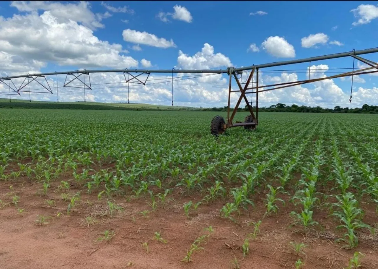 Fazenda à venda de 581 ha em Avaré, SP, Brasil