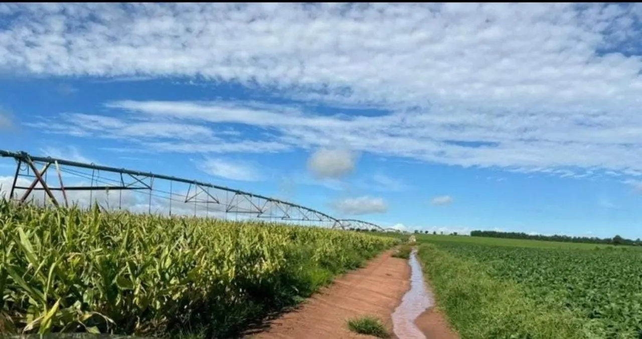 Fazenda à venda de 581 ha em Avaré, SP, Brasil