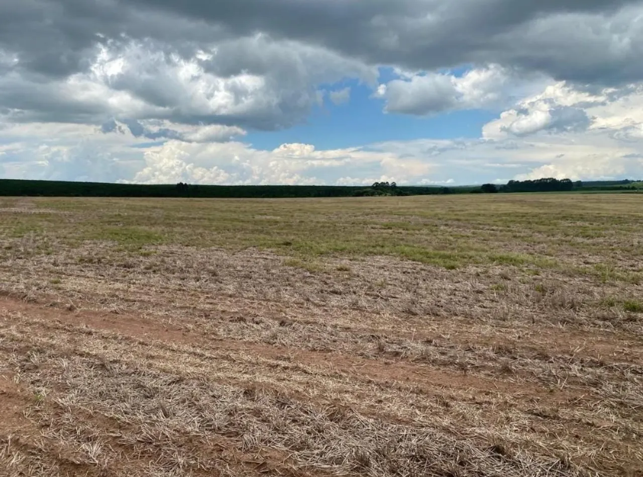 Fazenda à venda de 581 ha em Avaré, SP, Brasil