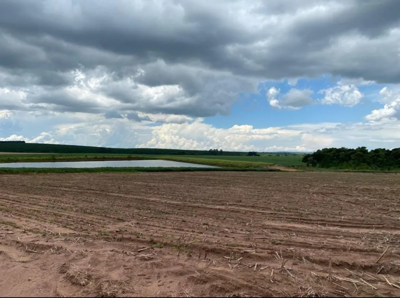 Fazenda à venda de 581 ha em Avaré, SP, Brasil