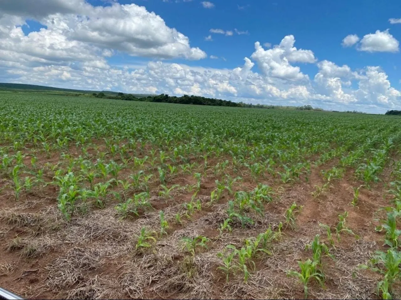 Fazenda à venda de 581 ha em Avaré, SP, Brasil