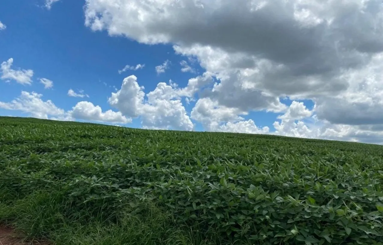 Fazenda à venda de 581 ha em Avaré, SP, Brasil