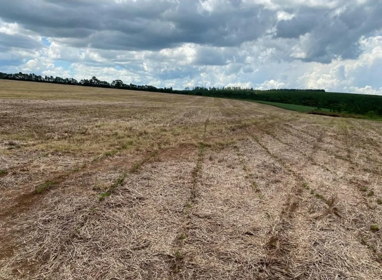Fazenda à venda de 581 ha em Avaré, SP, Brasil
