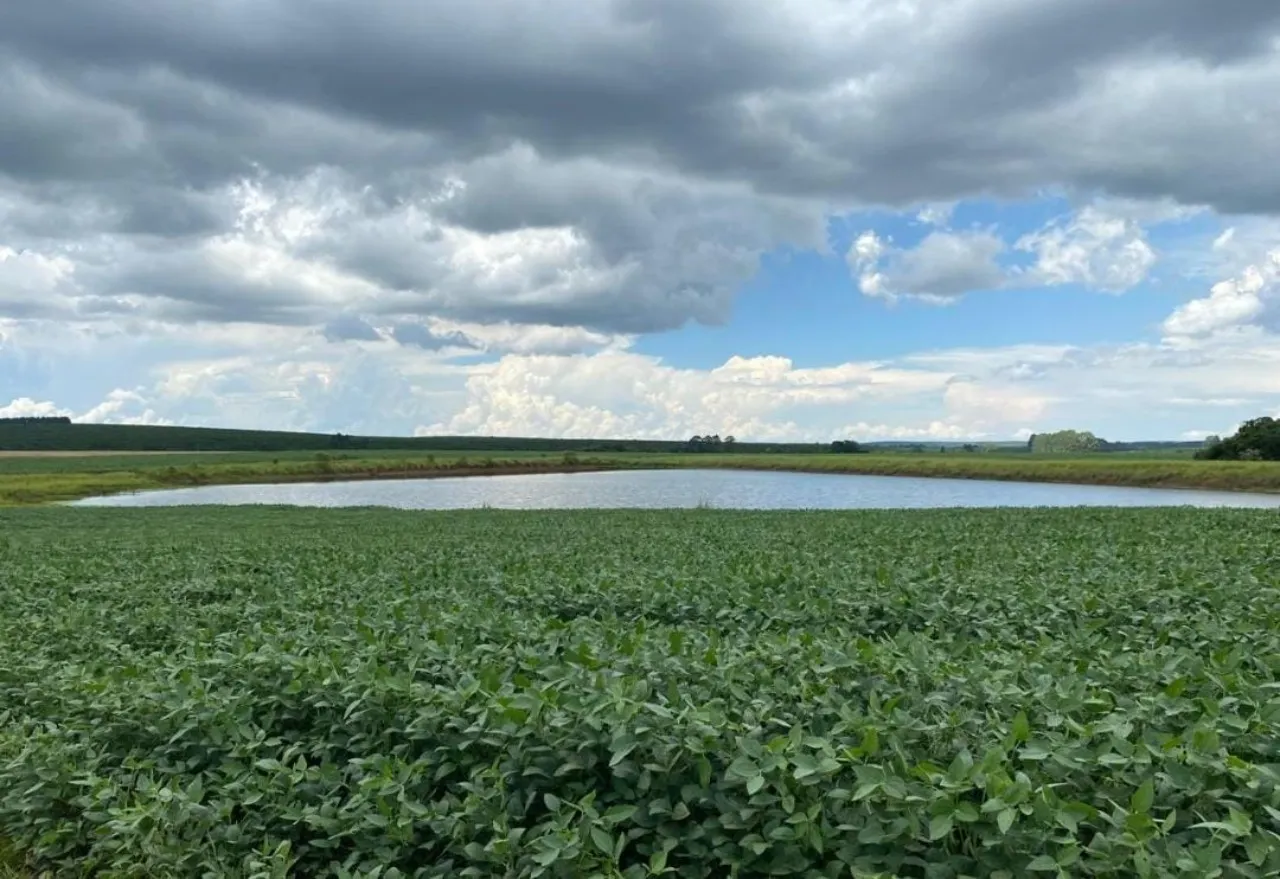Fazenda à venda de 581 ha em Avaré, SP, Brasil