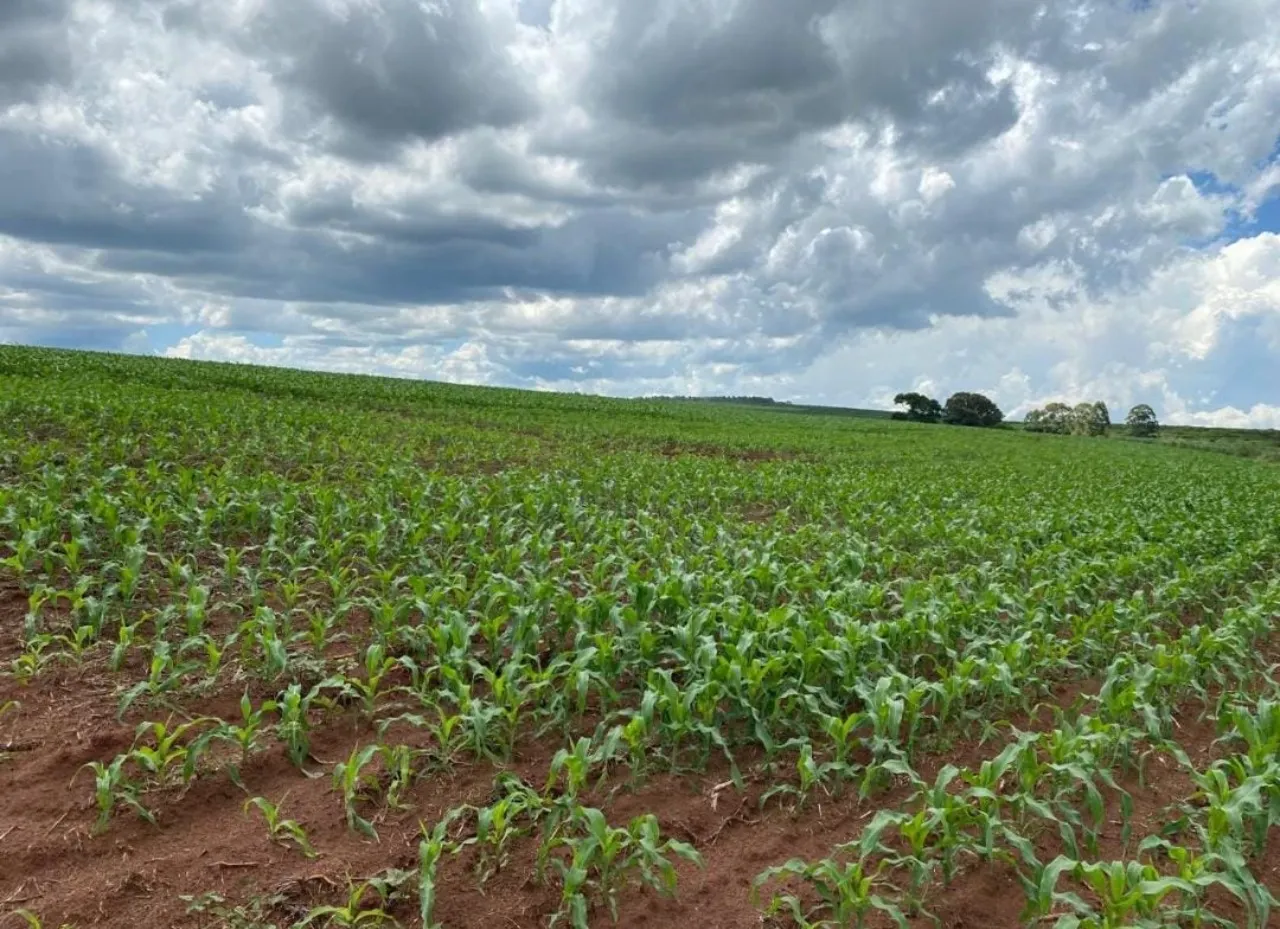 Fazenda à venda de 581 ha em Avaré, SP, Brasil