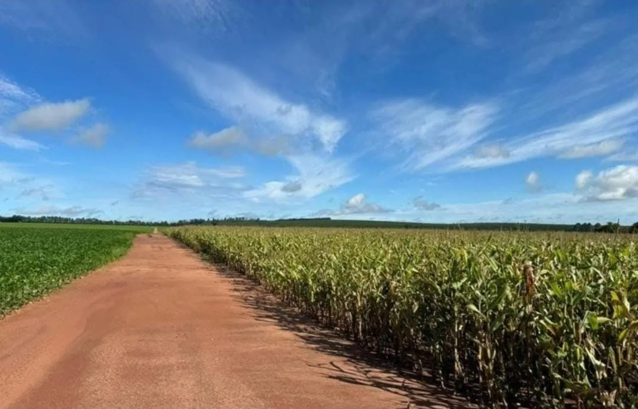 Fazenda à venda de 581 ha em Avaré, SP, Brasil