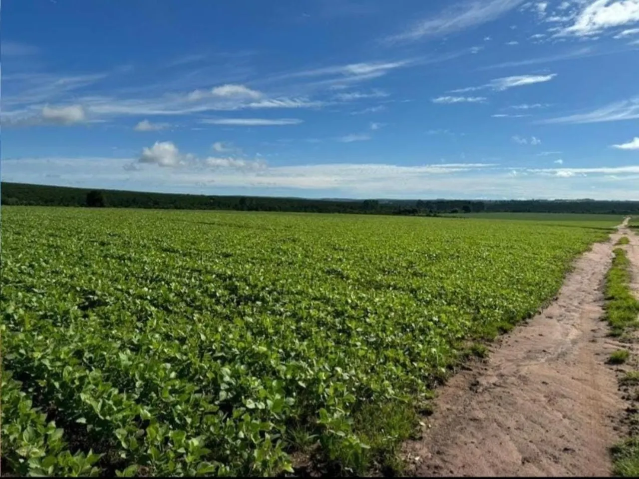 Fazenda à venda de 581 ha em Avaré, SP, Brasil