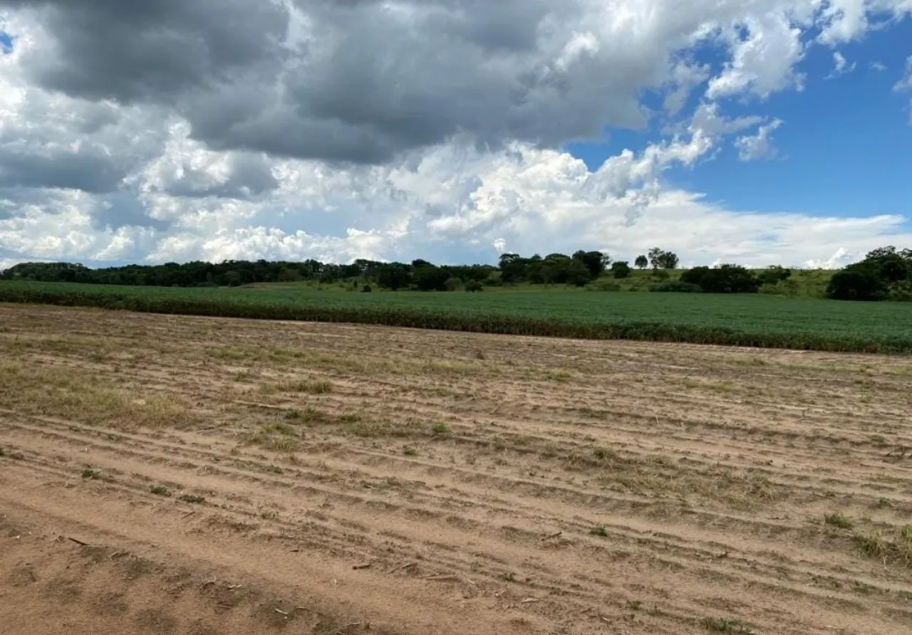 Fazenda à venda de 581 ha em Avaré, SP, Brasil