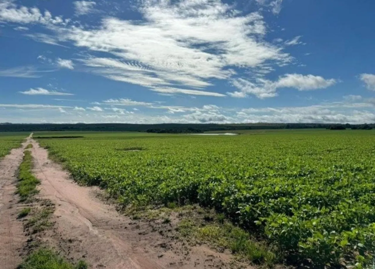 Fazenda à venda de 581 ha em Avaré, SP, Brasil