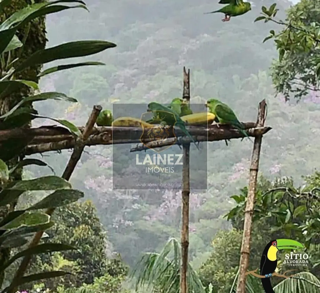 Sítio à venda de 18 ha em São Lourenço da Serra, SP, Brasil
