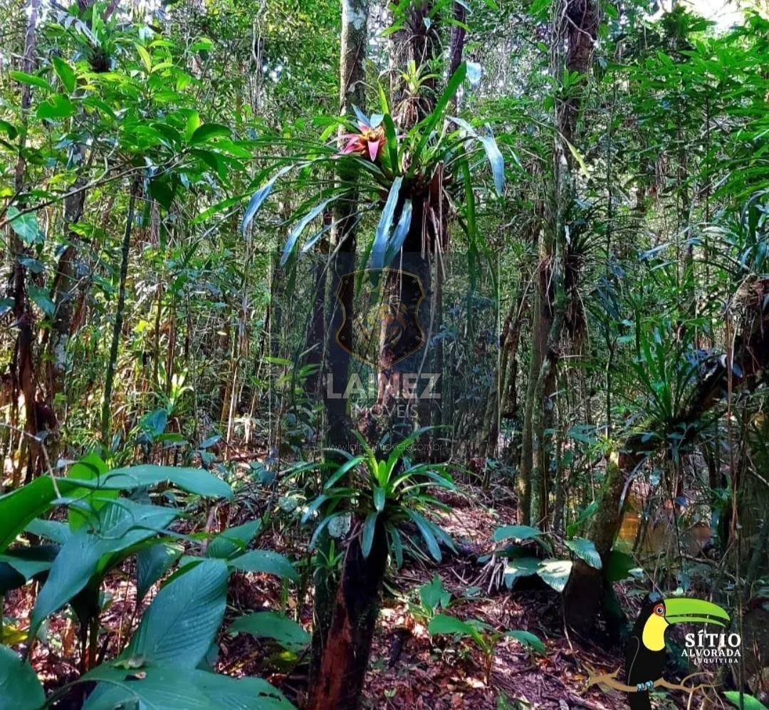 Sítio à venda de 18 ha em São Lourenço da Serra, SP, Brasil
