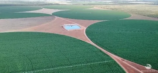 Fazenda à venda de 957 ha em Paracatu, MG, Brasil