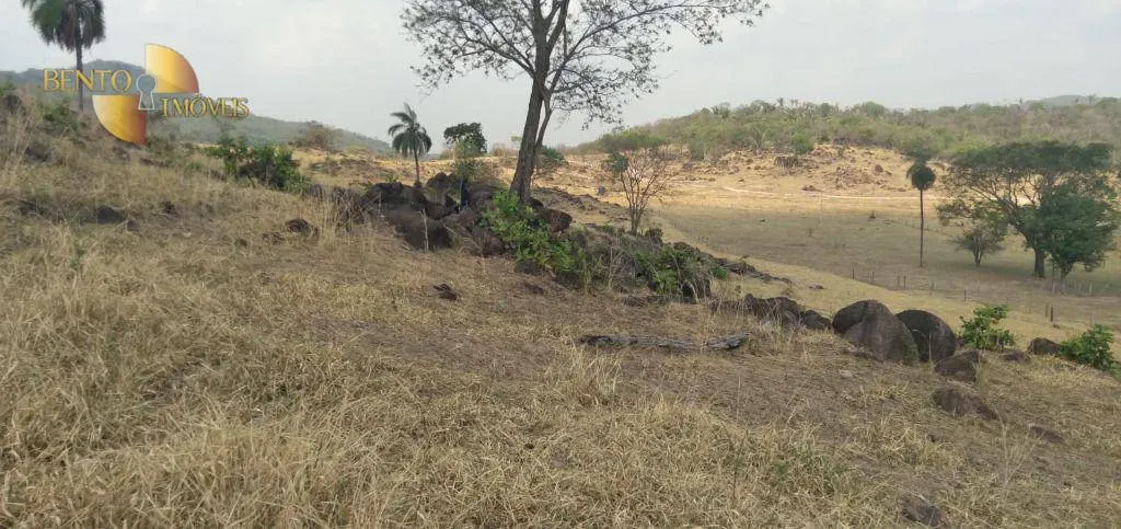 Fazenda à venda de 400 ha em Santo Antônio do Leverger, MT, Brasil