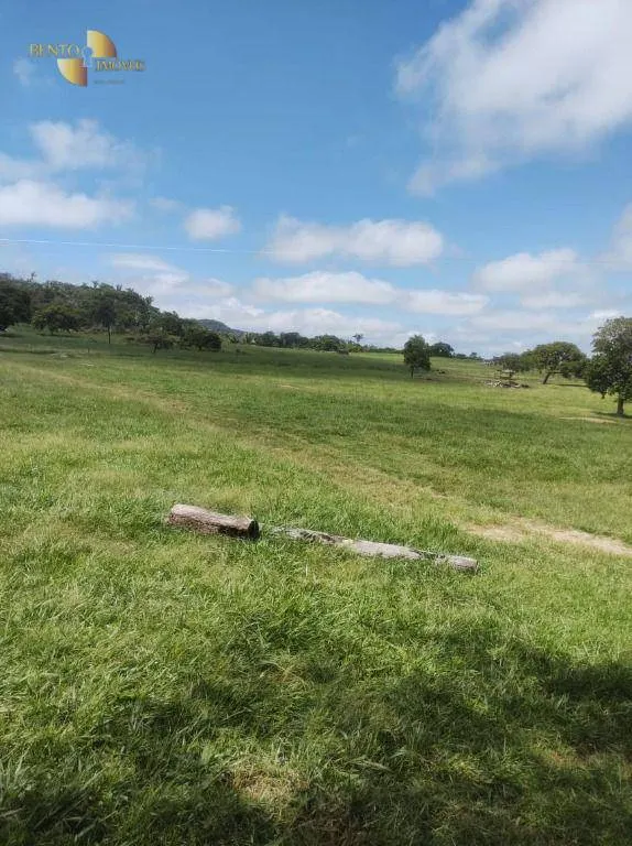 Fazenda à venda de 400 ha em Santo Antônio do Leverger, MT, Brasil