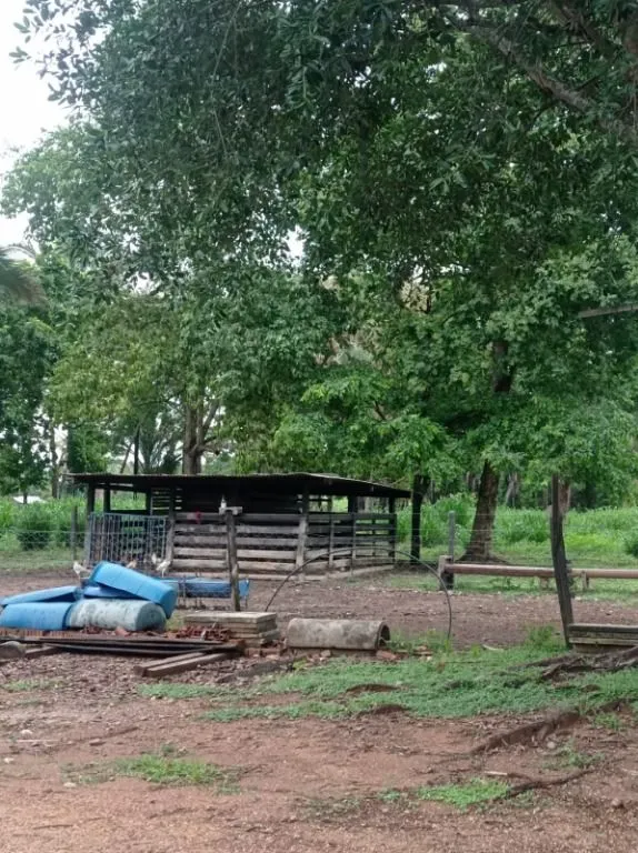 Sítio à venda de 40 ha em Santo Antônio do Leverger, MT, Brasil