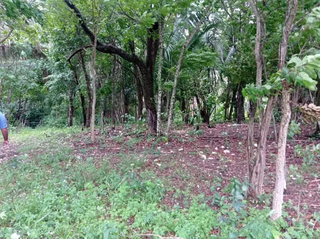 Sítio à venda de 40 ha em Santo Antônio do Leverger, MT, Brasil
