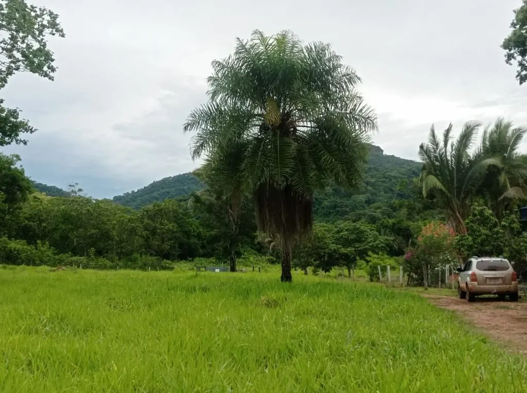 Sítio à venda de 40 ha em Santo Antônio do Leverger, MT, Brasil