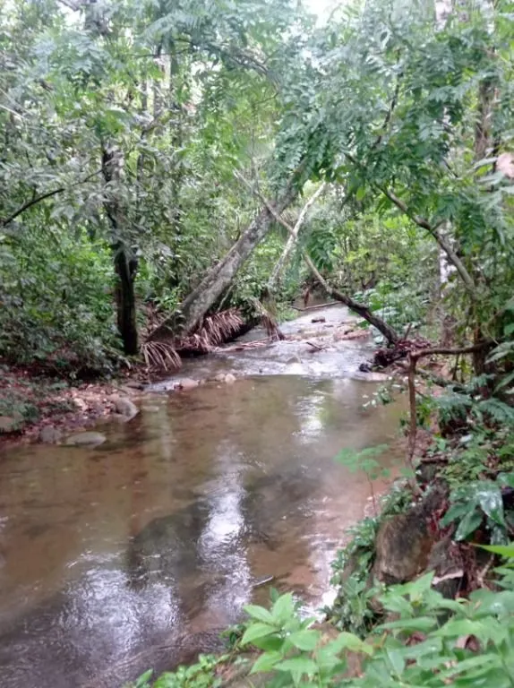 Sítio à venda de 40 ha em Santo Antônio do Leverger, MT, Brasil