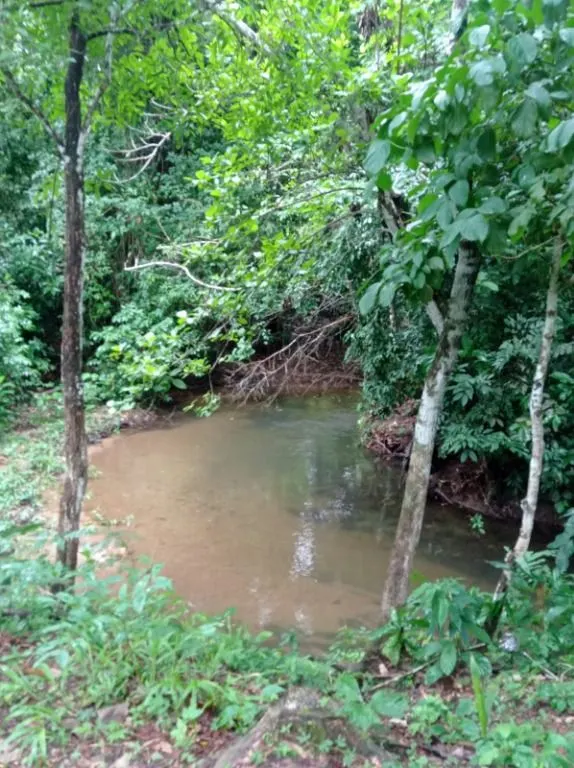 Sítio à venda de 40 ha em Santo Antônio do Leverger, MT, Brasil