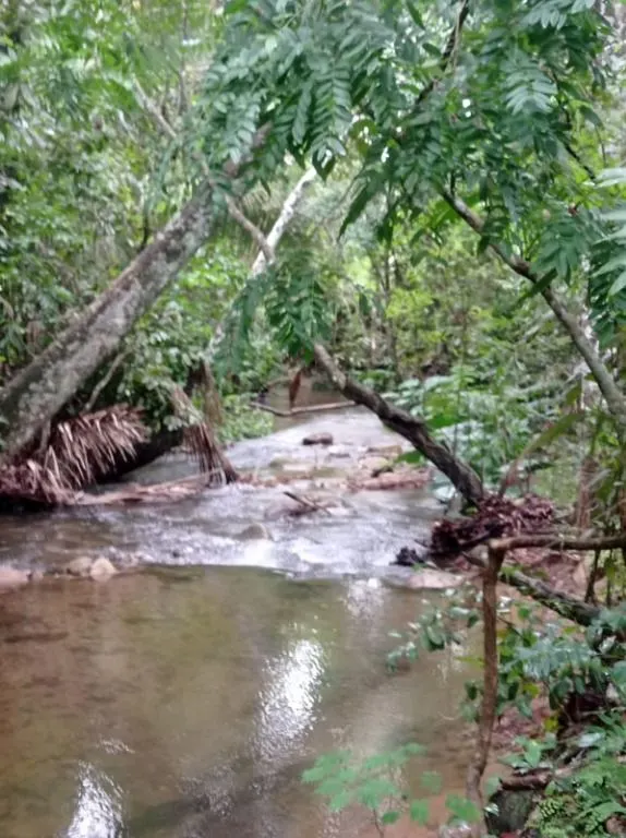 Sítio à venda de 40 ha em Santo Antônio do Leverger, MT, Brasil