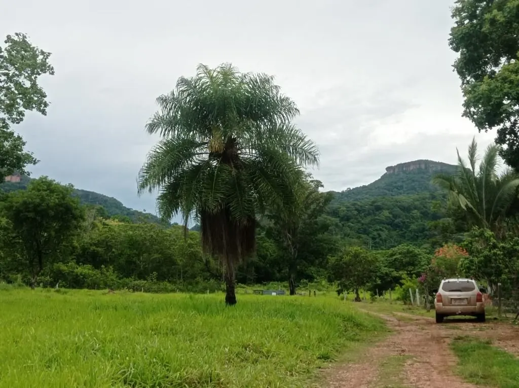 Sítio à venda de 40 ha em Santo Antônio do Leverger, MT, Brasil