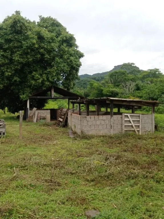 Sítio à venda de 40 ha em Santo Antônio do Leverger, MT, Brasil