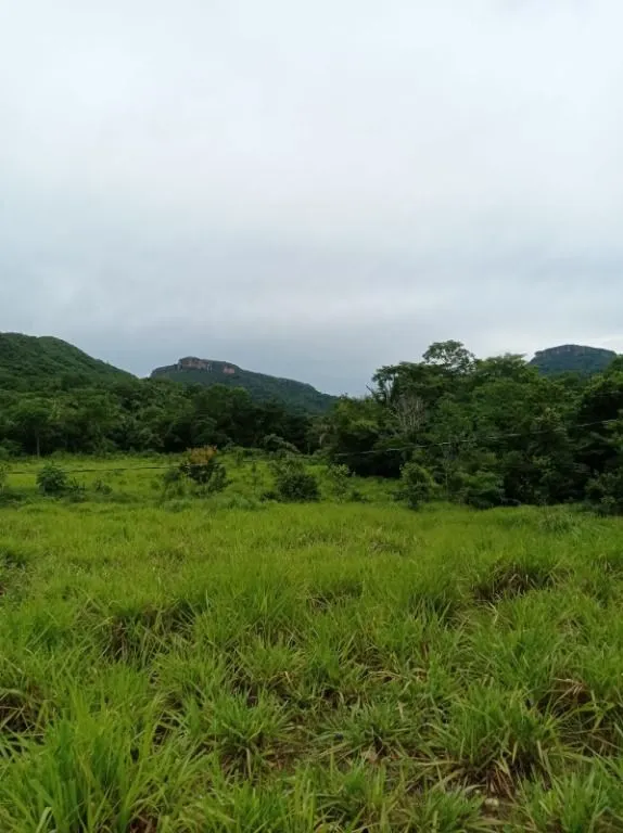 Sítio à venda de 40 ha em Santo Antônio do Leverger, MT, Brasil