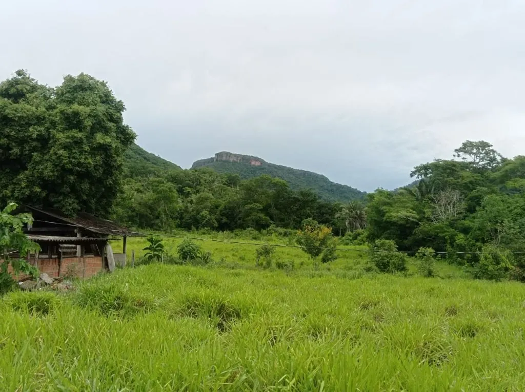 Sítio à venda de 40 ha em Santo Antônio do Leverger, MT, Brasil