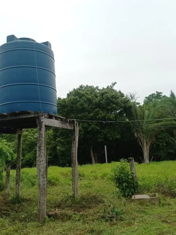 Sítio à venda de 40 ha em Santo Antônio do Leverger, MT, Brasil