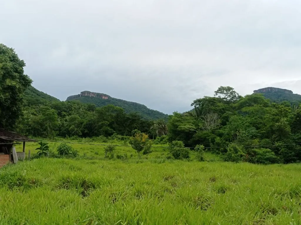 Sítio à venda de 40 ha em Santo Antônio do Leverger, MT, Brasil