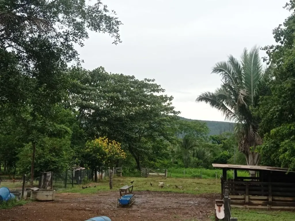 Sítio à venda de 40 ha em Santo Antônio do Leverger, MT, Brasil