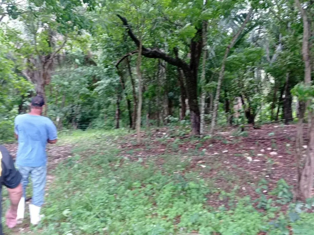 Sítio à venda de 40 ha em Santo Antônio do Leverger, MT, Brasil