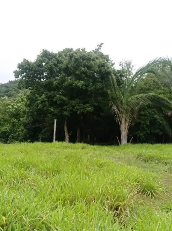 Sítio à venda de 40 ha em Santo Antônio do Leverger, MT, Brasil