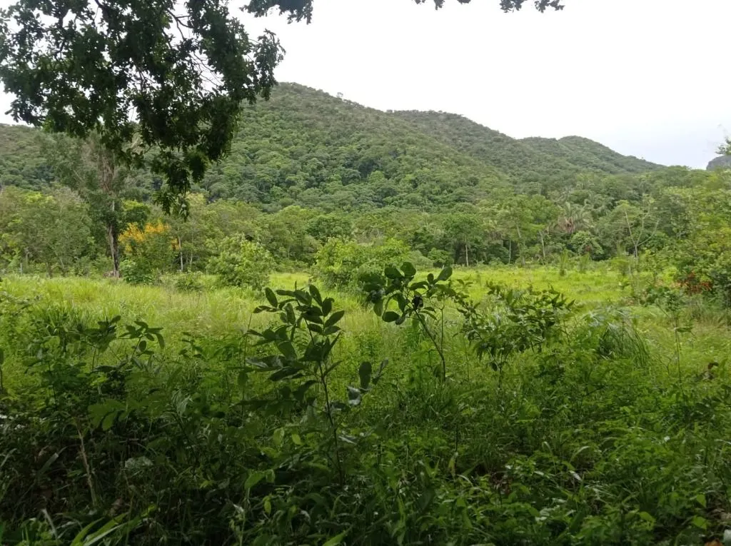 Sítio à venda de 40 ha em Santo Antônio do Leverger, MT, Brasil