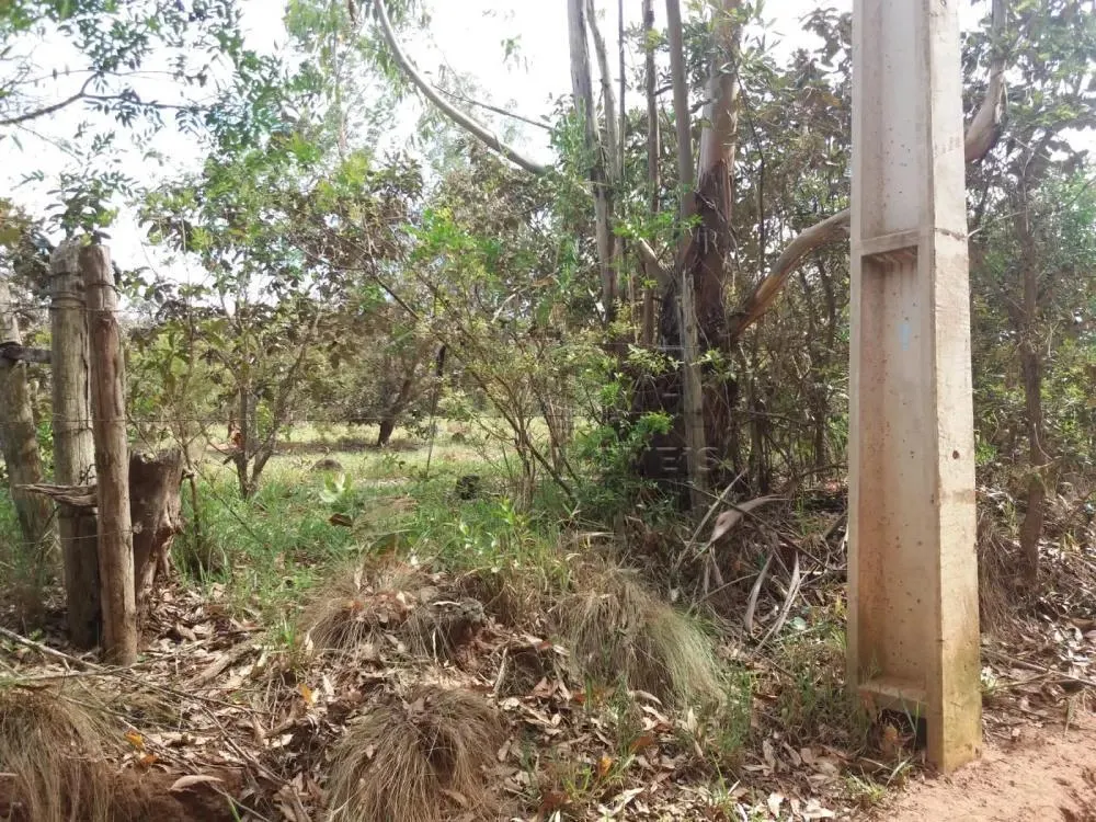 Chácara à venda de 5.000 m² em Botucatu, SP, Brasil