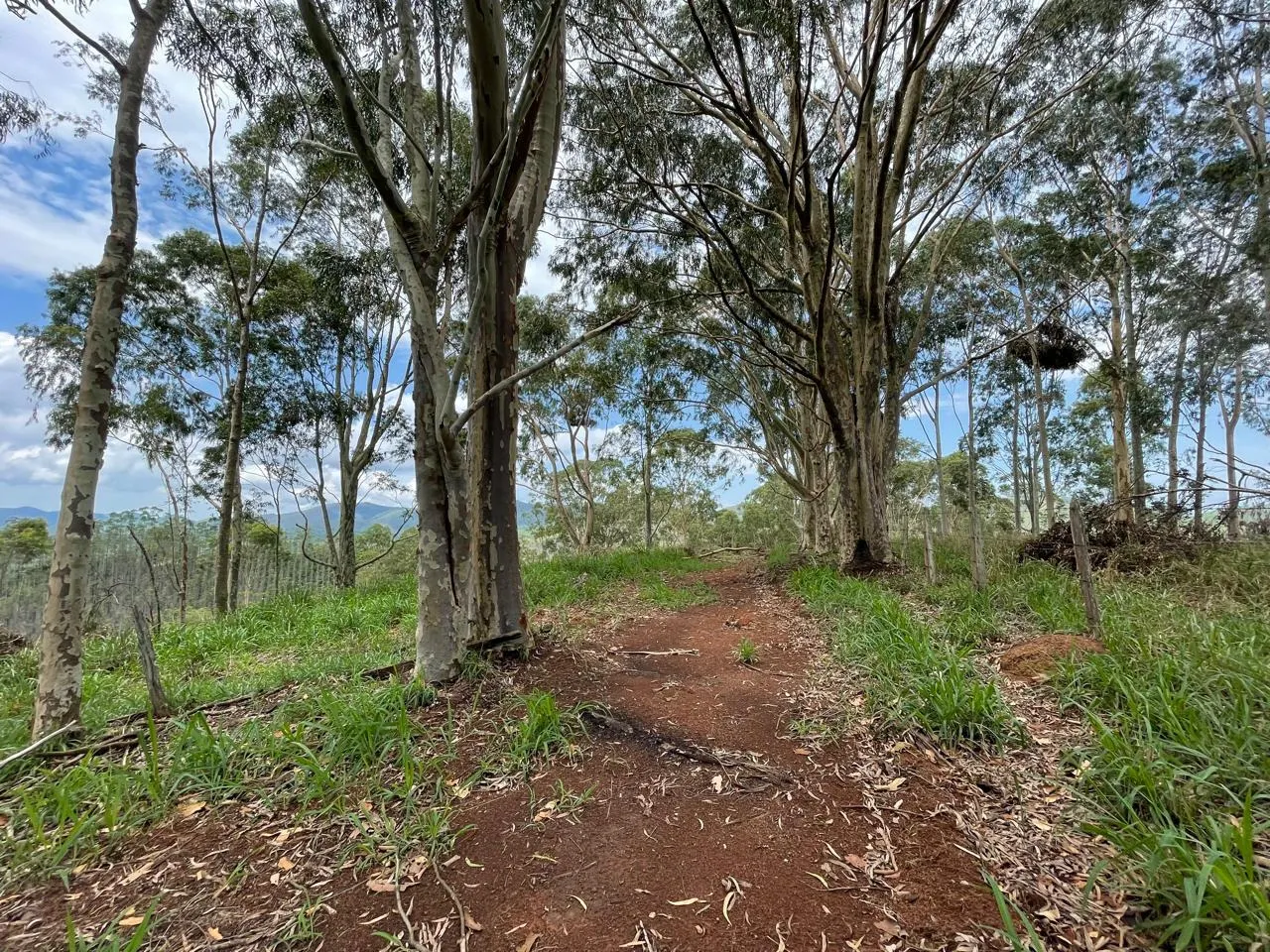 Terreno à venda de 4 ha em São José dos Campos, SP, Brasil