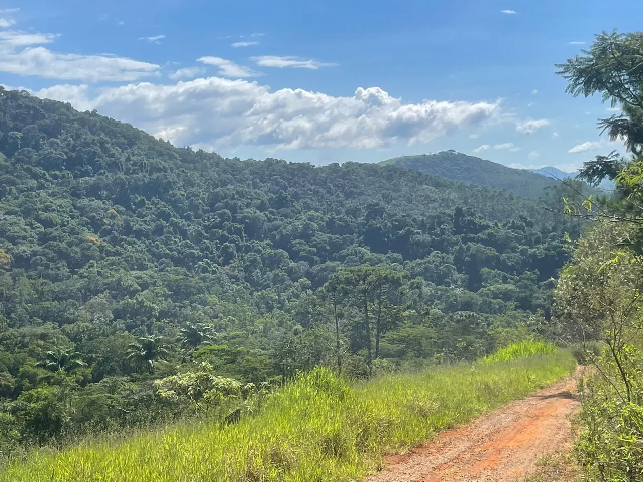 Terreno à venda de 4 ha em São José dos Campos, SP, Brasil
