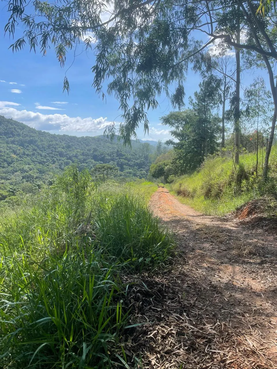Terreno à venda de 4 ha em São José dos Campos, SP, Brasil