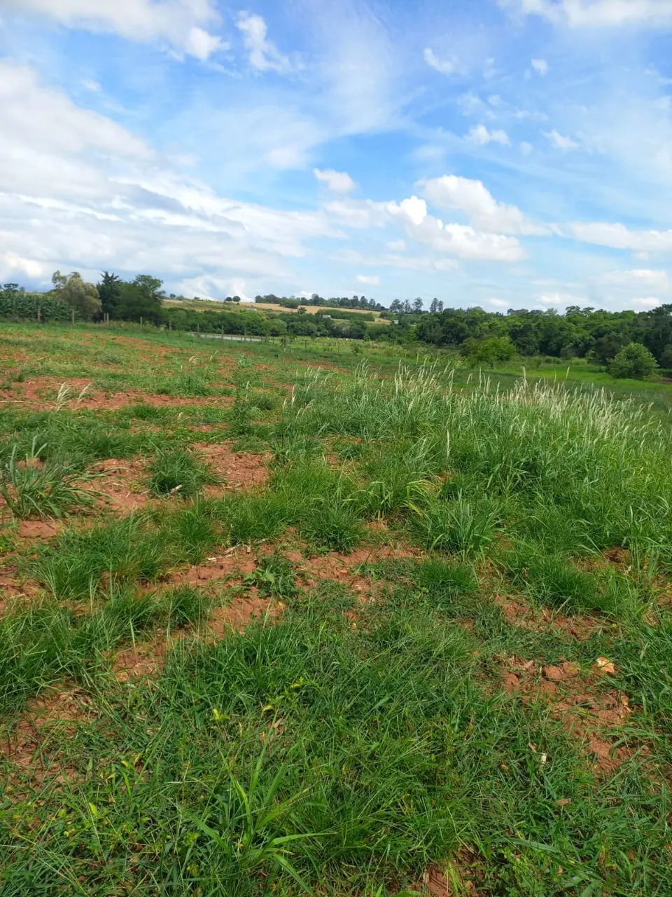 Fazenda à venda de 5 ha em Cesário Lange, SP, Brasil