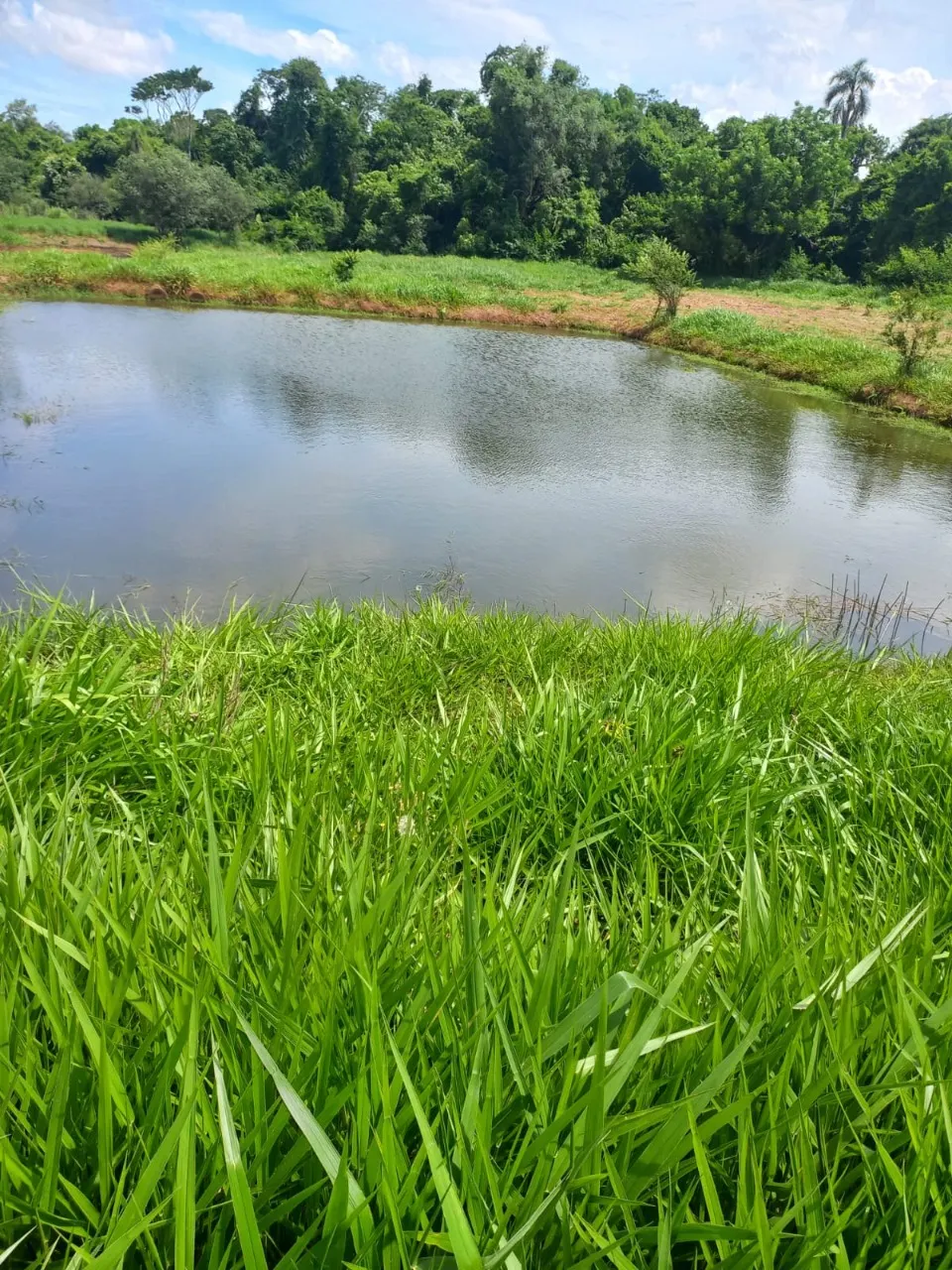 Fazenda à venda de 5 ha em Cesário Lange, SP, Brasil