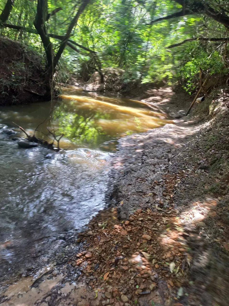 Fazenda à venda de 5 ha em Cesário Lange, SP, Brasil