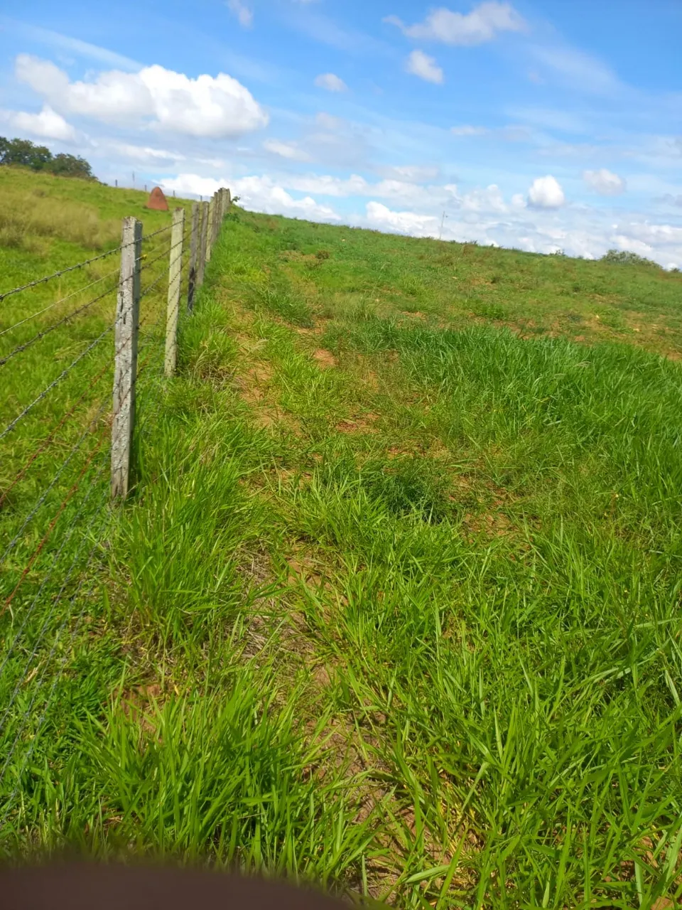 Fazenda à venda de 5 ha em Cesário Lange, SP, Brasil