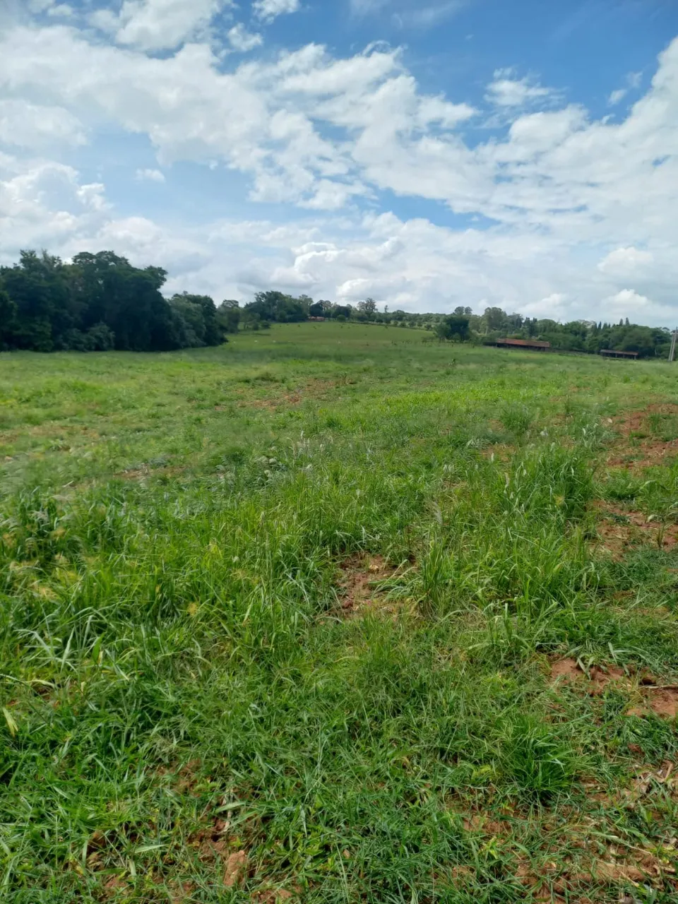 Fazenda à venda de 5 ha em Cesário Lange, SP, Brasil