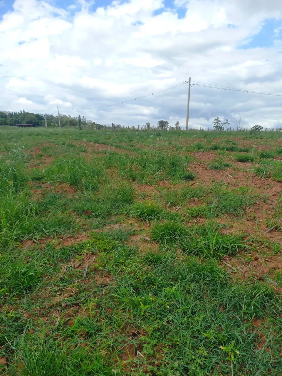 Fazenda à venda de 5 ha em Cesário Lange, SP, Brasil