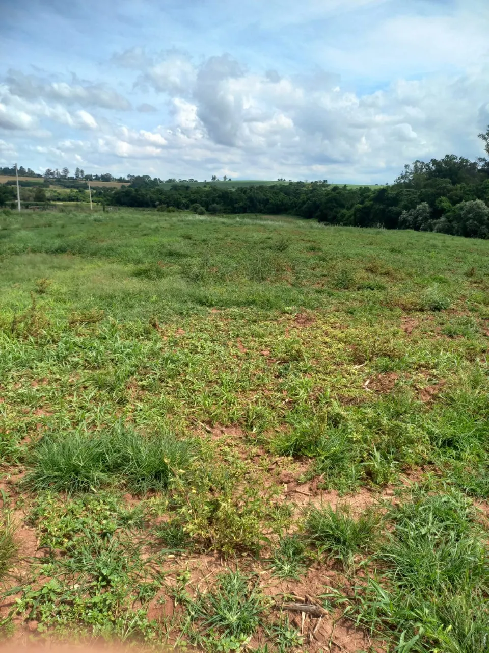 Fazenda à venda de 5 ha em Cesário Lange, SP, Brasil