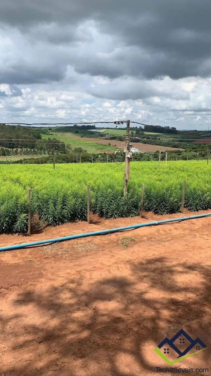 Sítio à venda de 5 ha em Bragança Paulista, SP, Brasil