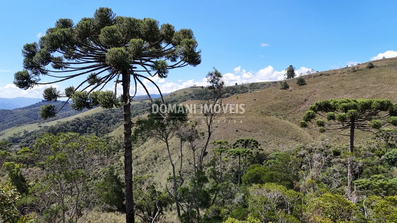 Plot for sale of 7 acres in Campos do Jordão, SP, Brazil