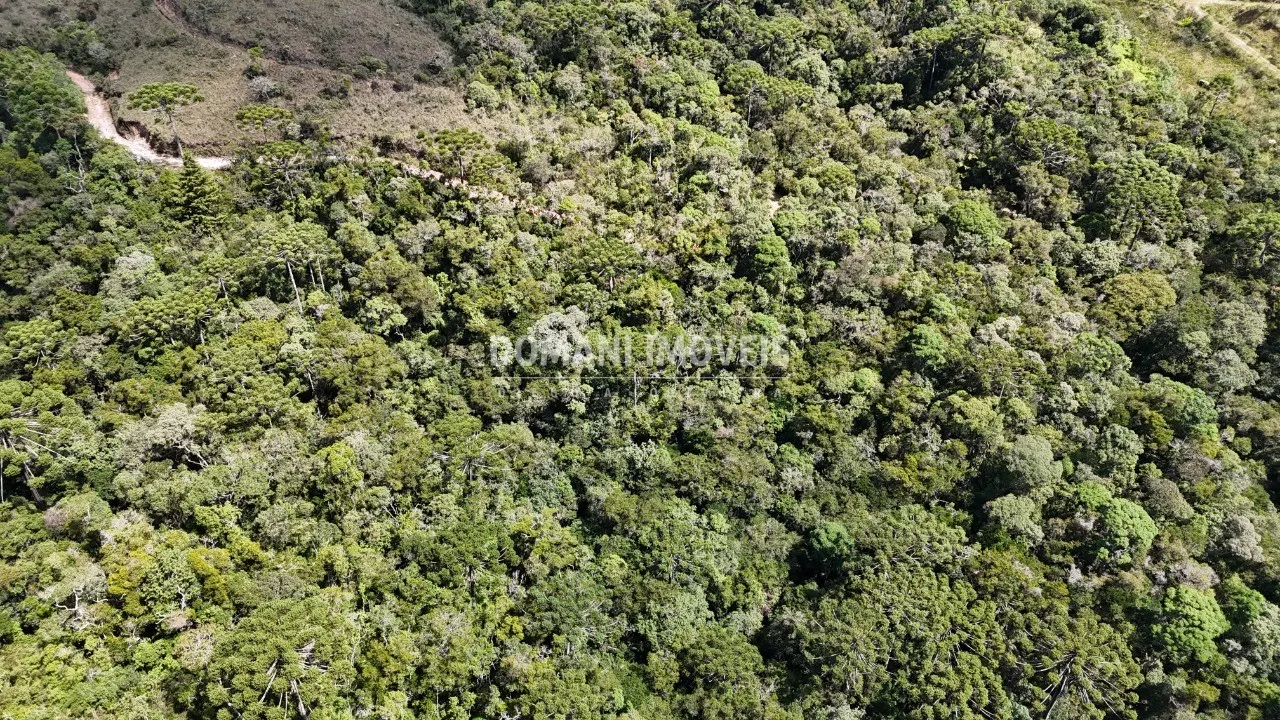 Plot for sale of 7 acres in Campos do Jordão, SP, Brazil